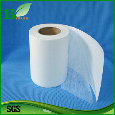Web legante fusibile adesivo leggero e stabilizzatore di Copolyester